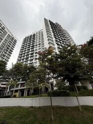Blk 476B Hougang Capeview (Hougang), HDB 4 Rooms #584500151